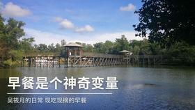 小猫钓鱼游戏龙王版有船