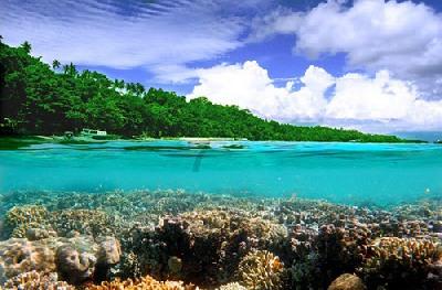 海南2024年度定向选调应届优秀大学毕业生笔试合格分数线出炉