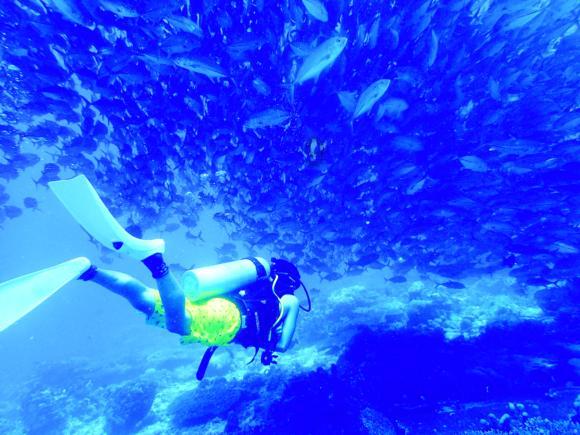 海绵宝宝寻珍宝