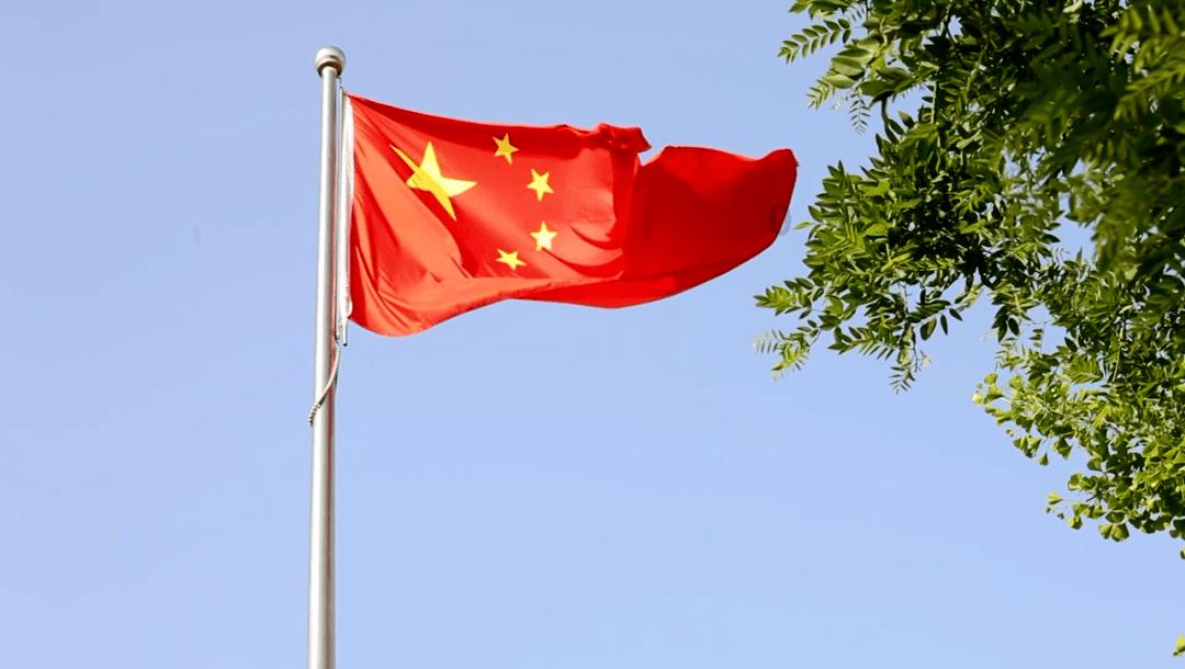 植物大战僵尸19