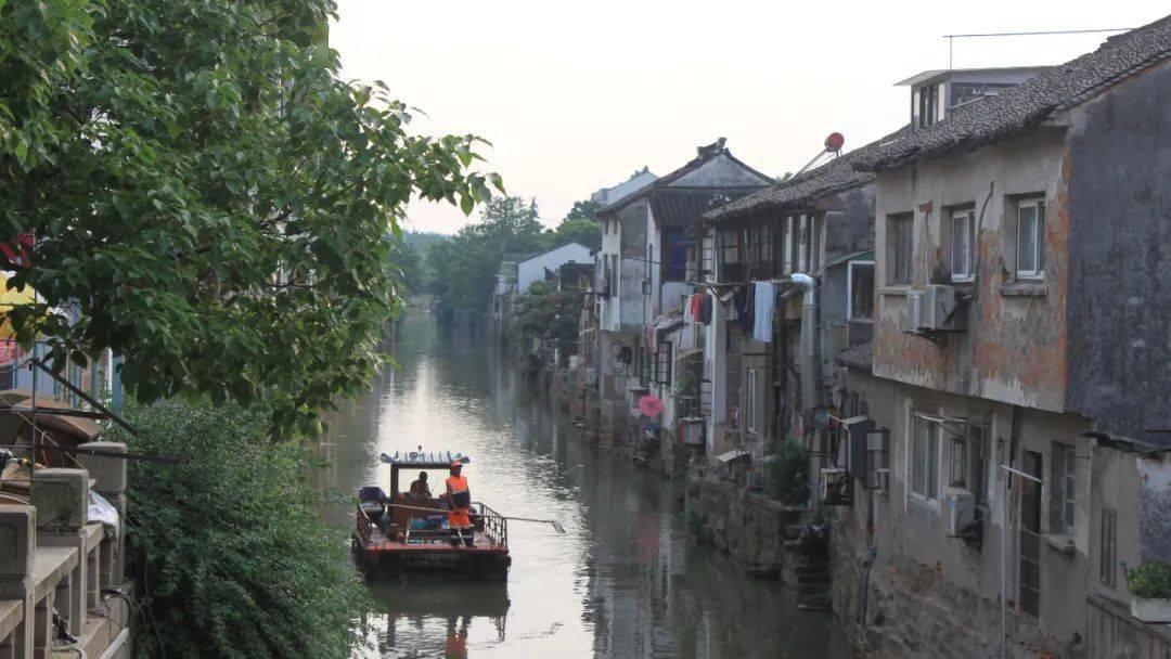 乡村振兴在路上丨“薯”光“链”出富民路