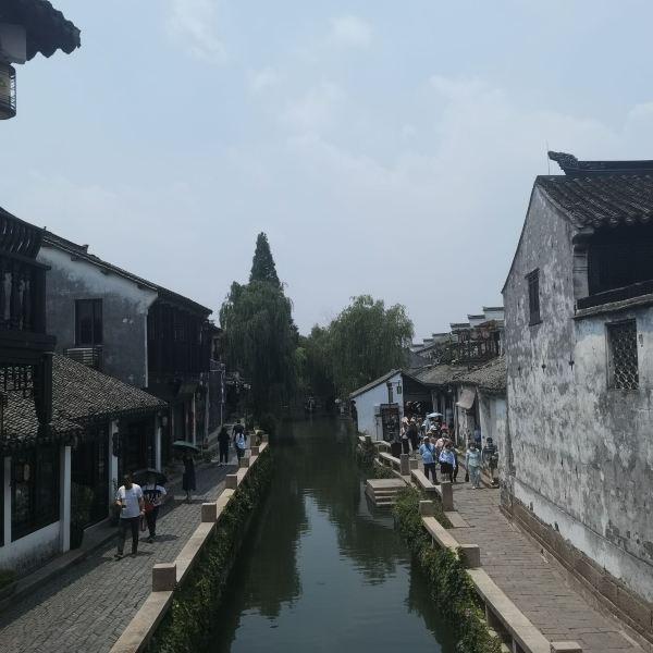 拯救红松鼠