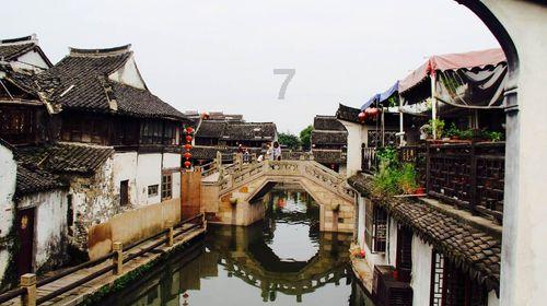 逗小猴开心系列206