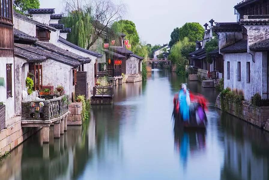 再获荣誉！赊店老酒荣获2024年河南老字号年货精品“金奖”